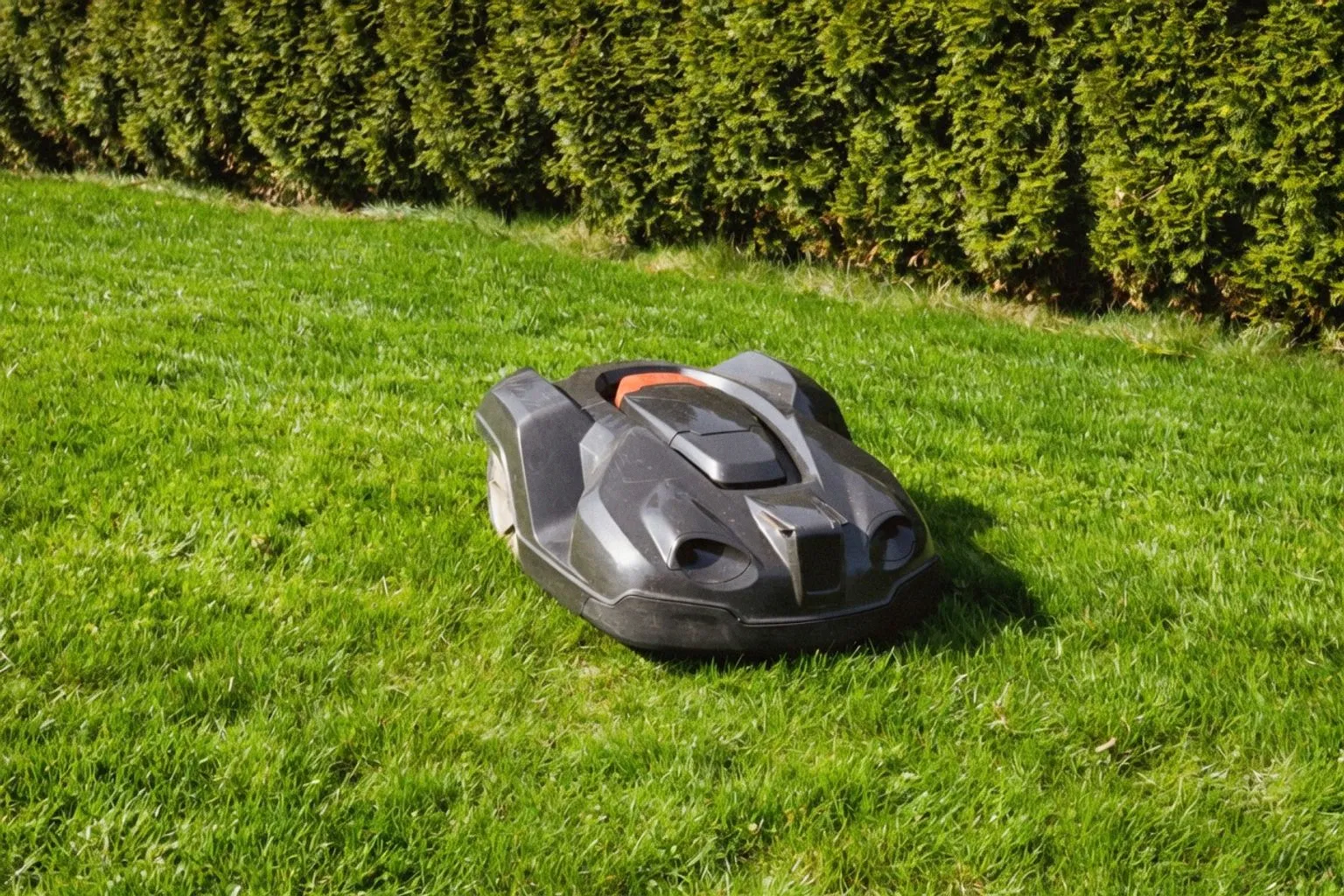 Gefahr durch Mähroboter: Warum Kleintiere und Kinder im Garten gefährdet sind