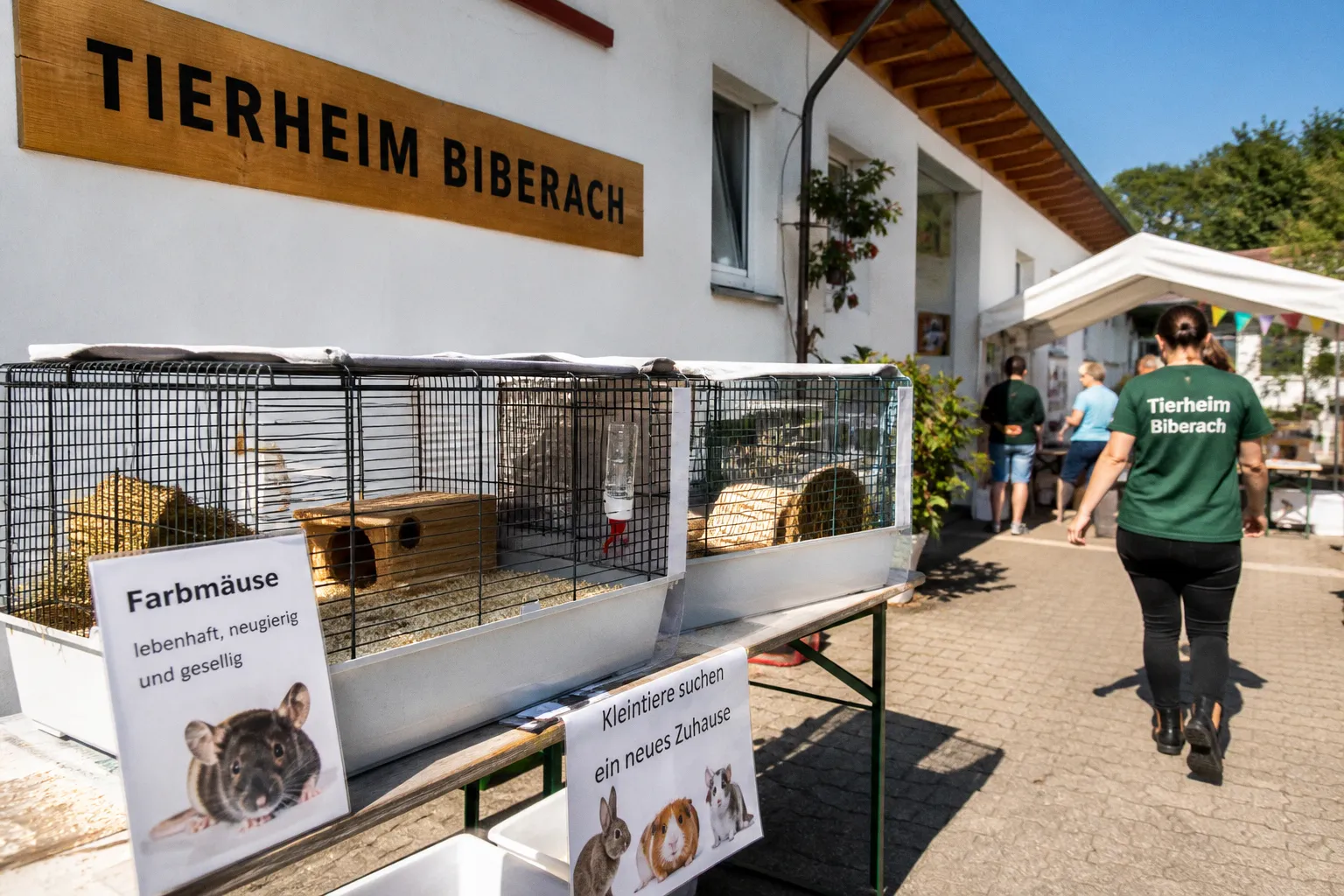 Tierheimfest in Biberach: Einblicke in die Tierschutzarbeit und Vermittlung von Kleintieren