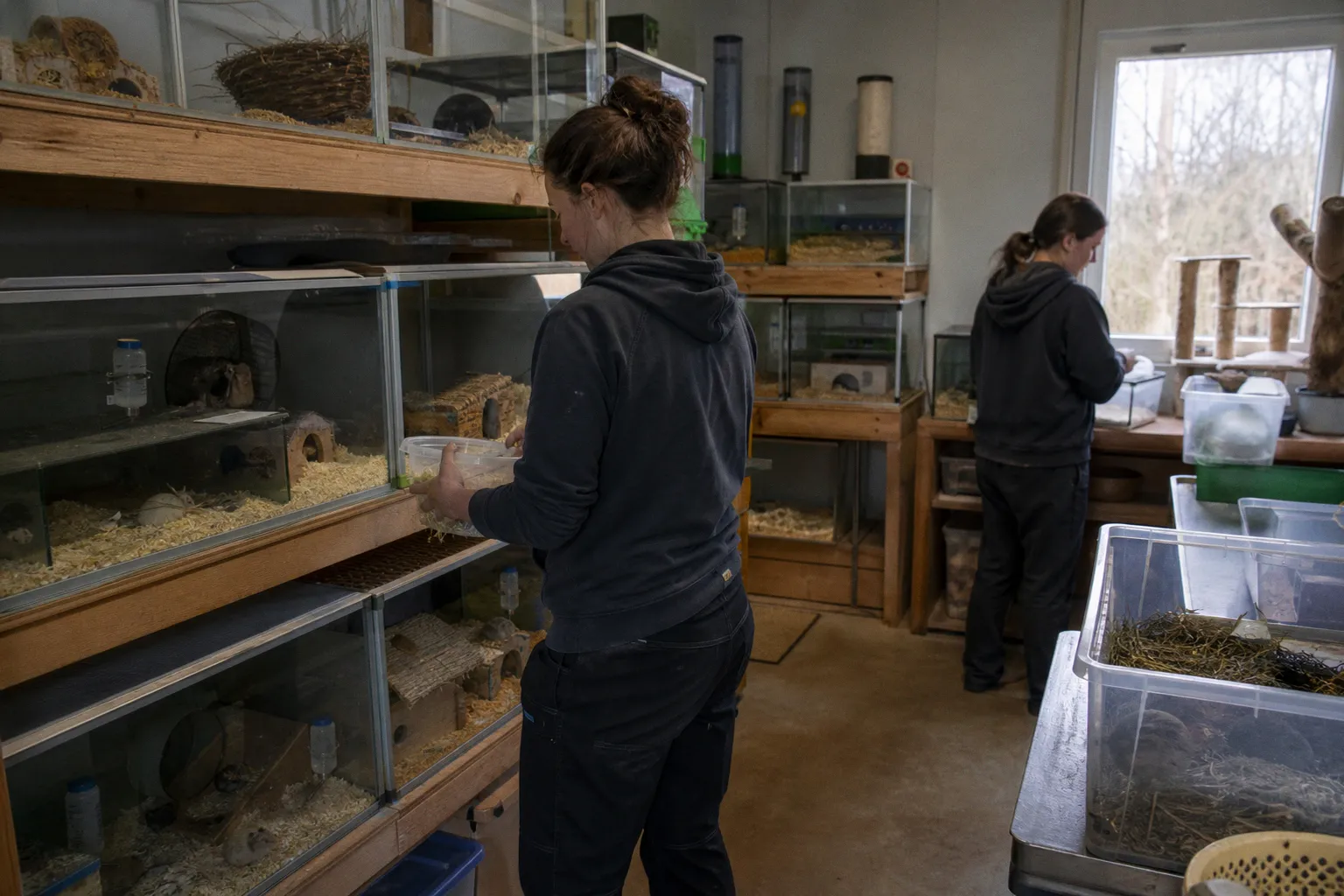 Tierschutz bei der Tierhaltung: Lehren aus dem Fall Rosenheim