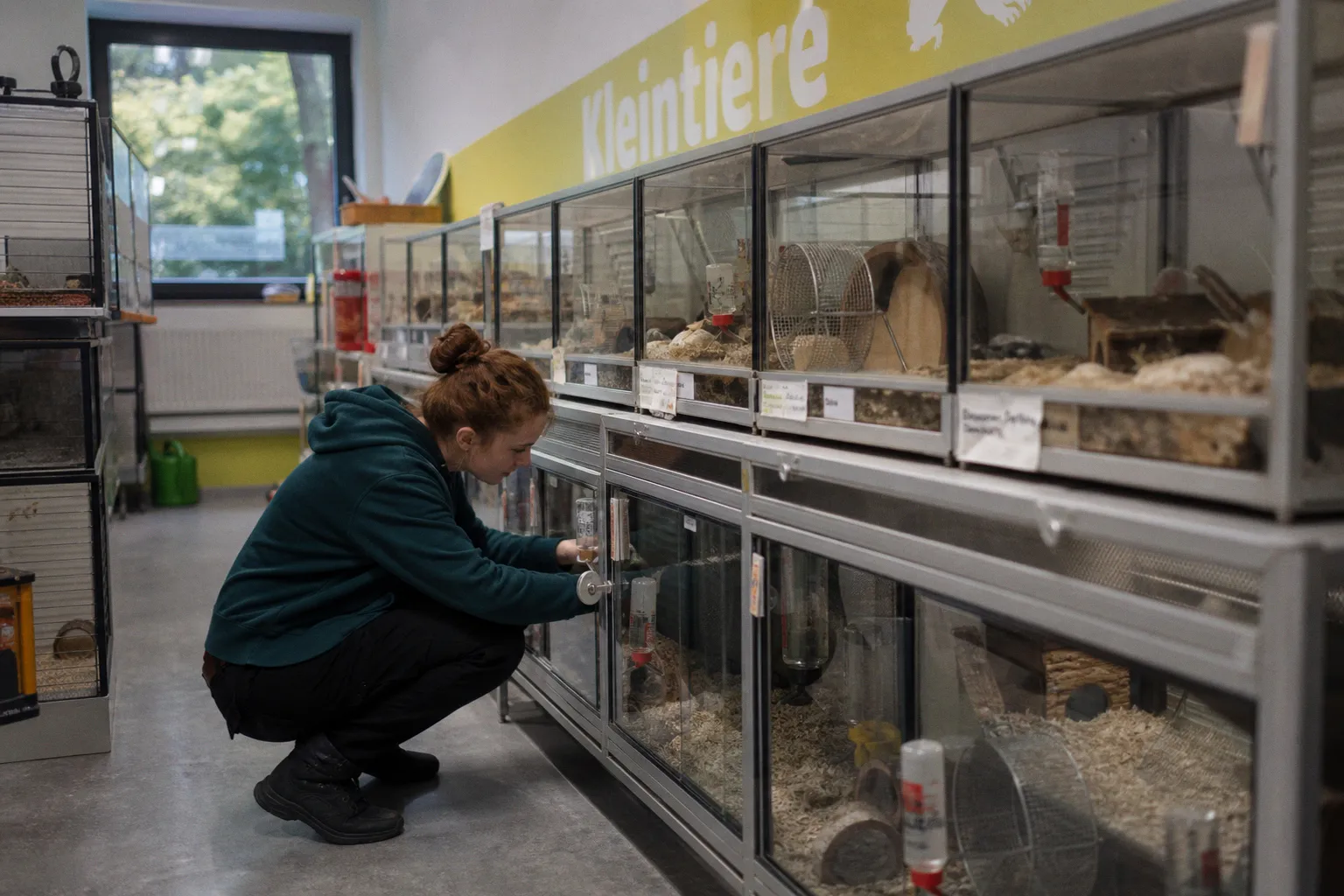 Überfüllte Tierheime: Warum die Abgabe von Kleintieren in Hamburg zum Problem wird