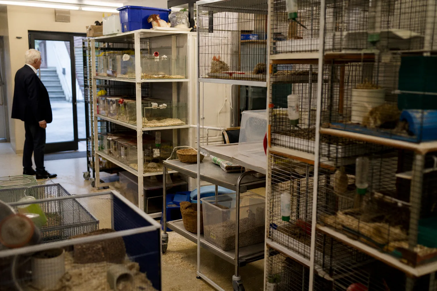 Überlastung im Tierschutz: Warum das Tierheim München vor dem Kollaps steht