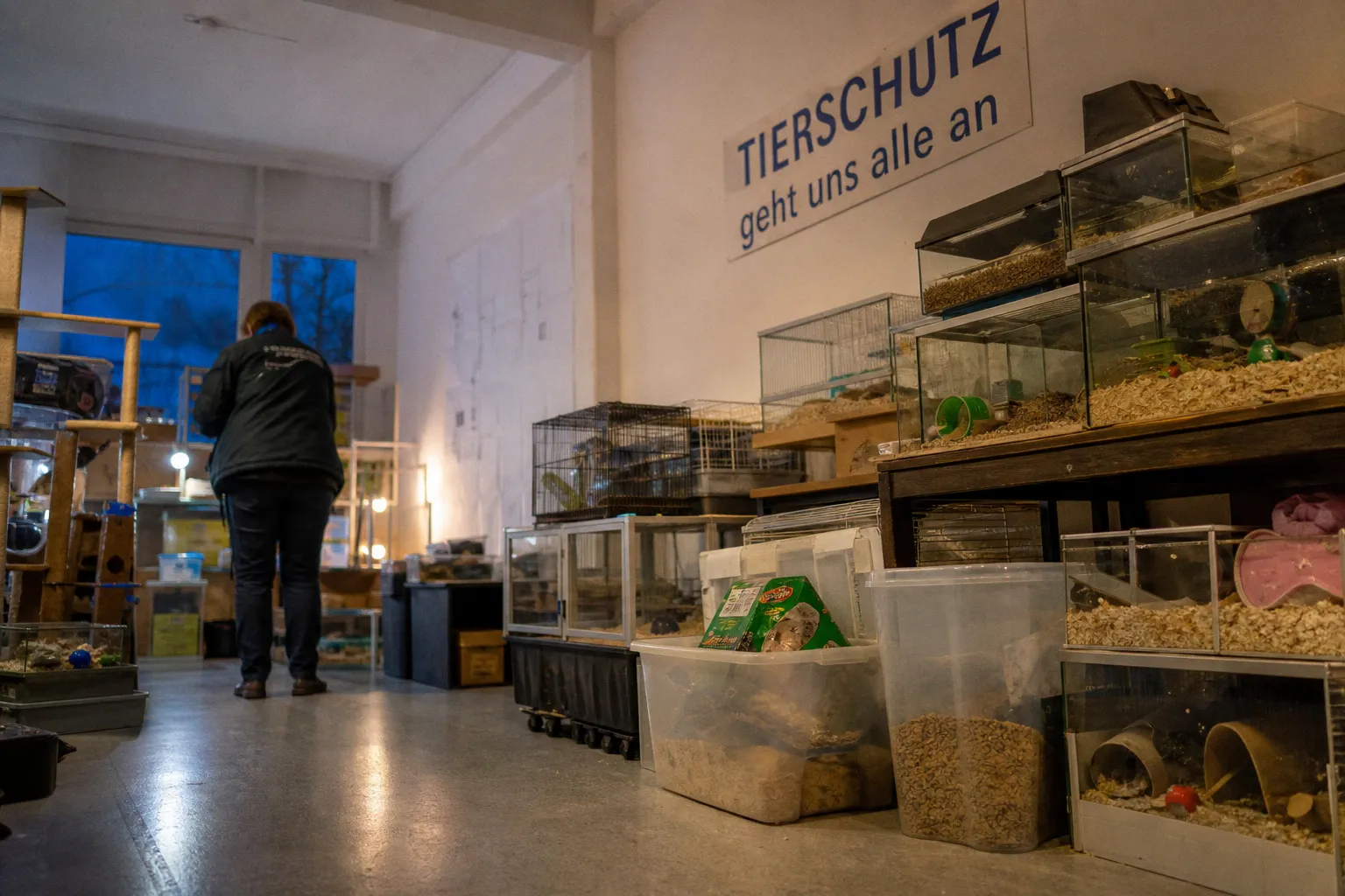 Warum Tierschutz bei der Futterwahl für Farbmäuse entscheidend ist